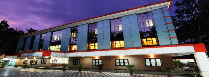 Broad Bean - Kakkayangad 01.jpg